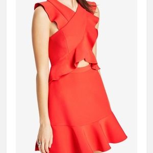 BCBGMaxAzria careen ruffle dress